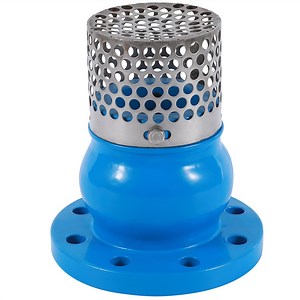 [Hot Item] ISO 7005 Foot Check Valve DN50~600