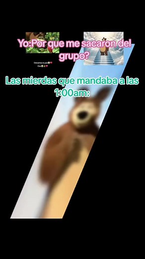 ¿Por qué me sacaron del grupo? Explicación de mensajes nocturnos