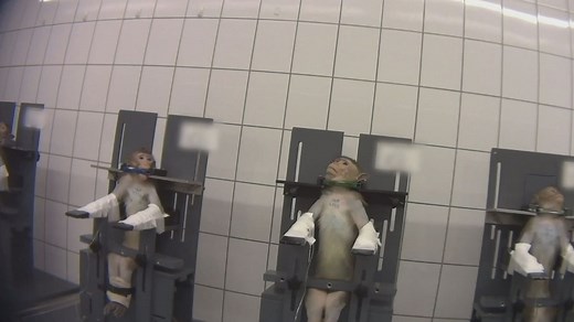 Distressing footage: Animal cruelty activist films undercover at lab