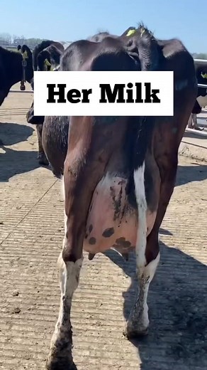 2.2K views · 50 reactions | The dairy industry is cruel on so many...