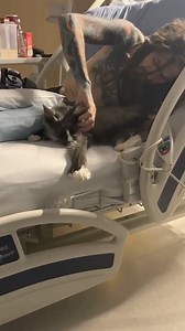 7.2K views · 598 reactions | One of my amazing clients has had a nasty accident requiring 3 weeks in hospital.  A massive shout out to Christchurch hospital for allowing Bryce a visit from his #1 wingman "Higgins"!  They were missing each other terribly! Such a sweet reunion and definately helped his recovery! 勺珞 | The Mobile Vet Nurse | Facebook