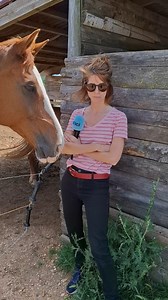 6.1K views · 60 reactions | (EQUITATION CENTRE EQUESTRE) "Aujourd'hui...