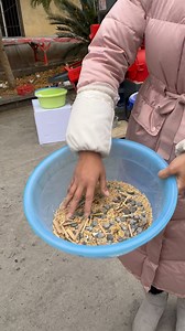 600kg/hour rice milling machine with destoning function | Mini Rice Mill Machine