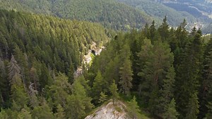 Top 20 Henry Ford Quotes || The Founder of the Ford Motor Company. @DailyQuotesHD. #HenryFord #FordMotorCompany #Innovation #AutomotiveIndustry #Entrepreneur #Industrialist #FordModelT #Inventor #BusinessIcon #Manufacturing #Legacy #Visionary #AmericanInnovation #AssemblyLine #Fordism #Pioneer #InspirationalQuotes #SuccessStory #Leadership #BusinessHistory #HenryFordQuotes. | Positive Quotes | Facebook