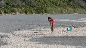 Where's the best seashell hunting in Palm Beach County? When is the best time to look?