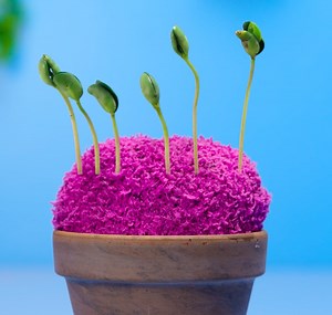 Tights and socks hacks that amaze you 🧦 | 5-Minute Crafts Teens