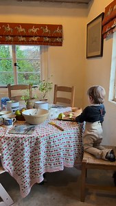 85K views · 2K reactions | Apple Cake with Sparky   Recipe for...