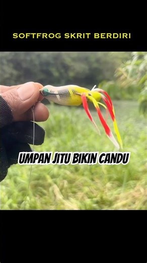 UMPAN JITU BIKIN CANDU // CASTING GABUS - SHORTS