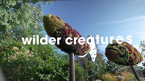 We’re so excited about WildScapes, we just wet our plants! Don’t miss this epic summer experience. | The Calgary Zoo