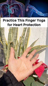 403K views · 3.4K reactions | Practice This Finger Yoga for Heart Protection 2 Min Daily Both Hands Sarv Samridhi Yoga #hearthealth #heartattack #bloodcirculation #circulation #MetabolismBoost #metabolism #fingerexercise #healinghands #healingenergy #fbreelsvideo #trendingreel #virals #fblifestyle | Sarv Samridhi Yoga | Facebook