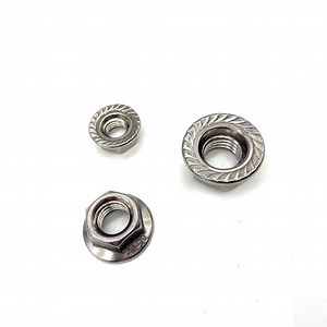 [Hot Item] A4-80 A2-70 Stainless Steel Hex Flange Nuts Fastener