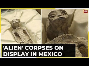 Mysterious Non-Human-Like Fossils Spark Alien Debate, See Pictures Here