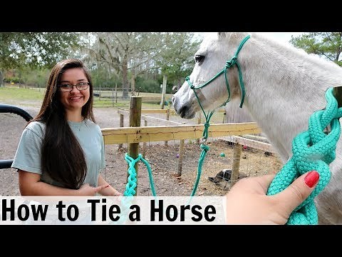 Quick Release Knots - How to Tie a Horse to a Post & Hitching Post