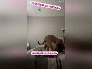teen alone, raw lust, dog sex extreme