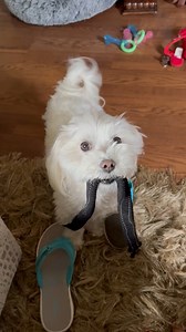 97K views · 2.1K reactions | My, we HAVE to get outside! Now! | Dountin | Facebook