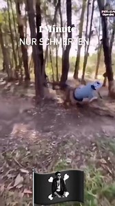 3.1K views · 15 reactions | Painful fails compilation洛 #failscompilation | Peter TOSHico | Facebook