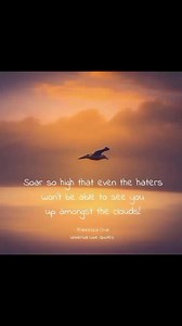 Please follow me on Instagram Universal_Love_Quotes817 I love you all 💜 | Universal Love