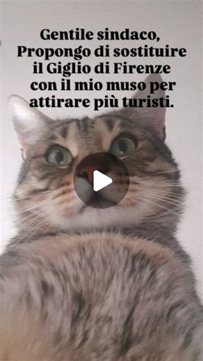 Sir Charlie and his friends  on Instagram