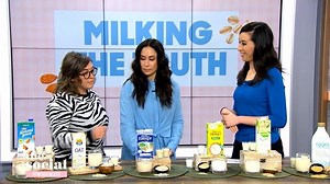 A dietitian explains the different types of milk alternatives you can get at your grocery store—from almond to hemp and everything else in-between. | The Social