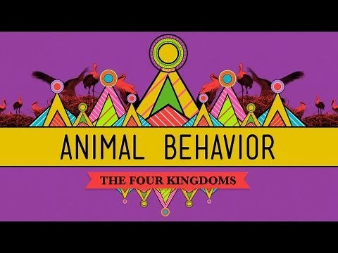 Animal Behavior - CrashCourse Biology #25