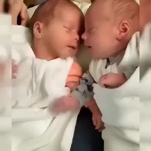1.3K views · 133 reactions | Cutest twin babies adorable moments 殺 | Babies | Facebook