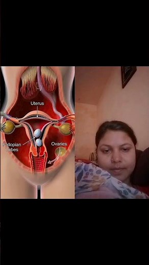 How The Female reproductive system work 3Dmodel #reproduction #pregnancy #anatomy #pregnancyjourney