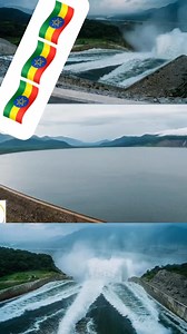 Shaggar Press on Reels