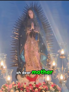 162K views · 15K reactions | Petition to Our Lady of Guadalupe for Miraculous Assistance | PrayersDevotion | Facebook
