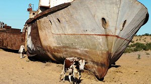 Out Of Place Objects Discovered In Strange Places | Grunge.com