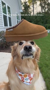 What can we say? He's got great taste. cur.lt/8idddqsgd | Rack Room Shoes