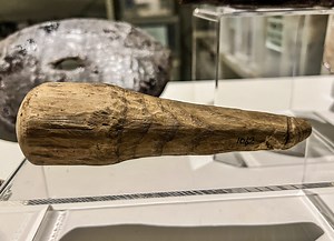 ‘Ah Yes, This Is a Dick’: Archaeologists May Have Found the First Roman Dildo