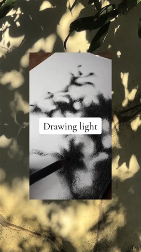 Komorebi - the Japanese word describing the interplay of light and shadow created by sunlight filtering through the leaves of trees 🌱 The unique dappled, ever-changing patterns of light, have always been almost hypnotic to me, and near impossible to capture on paper, but here is my first attempt :) #komorebi #drawing #drawingshadow #naturetattoo #natureart