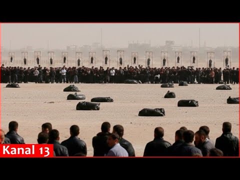 At least 313 protesters were executed by hanging in Iran since start of mass anti-government rallies
