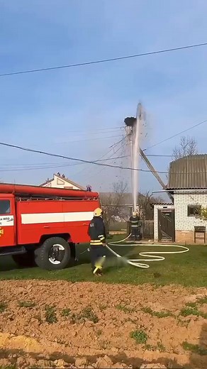 1.9M views · 33K reactions | How Internet Save This Bird's Home | সুপ্ত জ্ঞান | Facebook