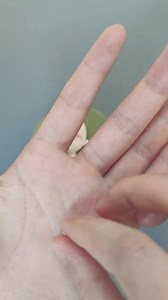 23K views · 1.8K reactions | "You are the finest, loveliest, tenderest, and most beautiful person I have ever known and even that is an understatement." | Handi Work | Facebook