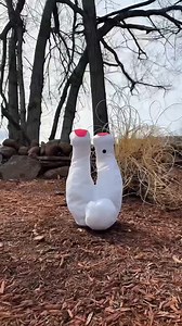 309 reactions · 47 shares | Sale alert! Add a touch of magic to your Easter with these 14" Easter Bunny Leg Kickers. Place around your home. When approached, the legs begin kicking.  Restrictions apply. See offer. | HSN | Facebook