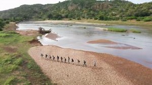 3.4K views · 74 reactions | Have you wondered what the Higher...