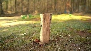 Splitting Firewood Using Splitting Maul: стоковое видео (без лицензионных платежей), 1087310924 | Shutterstock