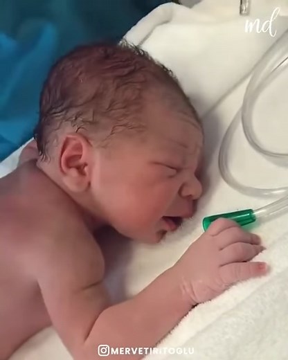 1.8M views · 10K reactions | The cutest babies you'll see today #Newborn #Baby #CuteBaby #Cutebabies #Babies #reels | Love Baby | Facebook