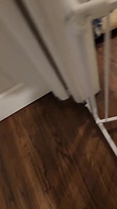 AY CHIHUAHUA RESCUE on Reels