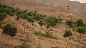 Woman On Zipline Stock Footage Video (100% Royalty-free) 2144255 | Shutterstock