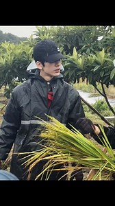 Lăng Thám Tương Lai: Hành Trình Hiểu Chuyển Đổi Năng Lượng