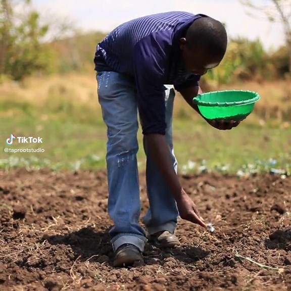 #farminguganda #agriculturevideos #taprootstudios #farmlife