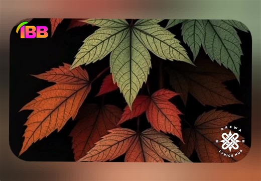 IBB___Lyrics on TikTok