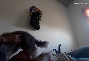 Mom sucks family dog when home alone