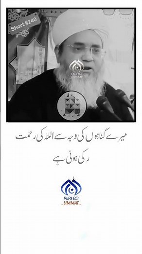 Hazrat Maulana Salahuddin Saifi Sahab Naqshbandi Db 💞