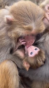 16 reactions | Ａｐａａｎｓｉ on Reels | Facebook