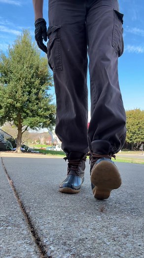 The Bug Life: Squashing Myths and Understanding Their Cycles