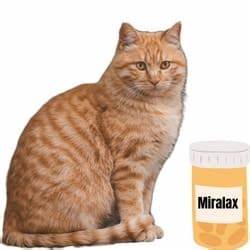 Miralax For Cats Dosage Chart Benefits Side Effects