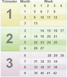 Pregnancy Timing Chart Very Useful For Keeping Track Of Pregnancy In